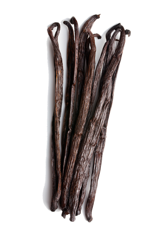 Accueil 9 AdobeStock 48955349 compressor 1024x1536 1