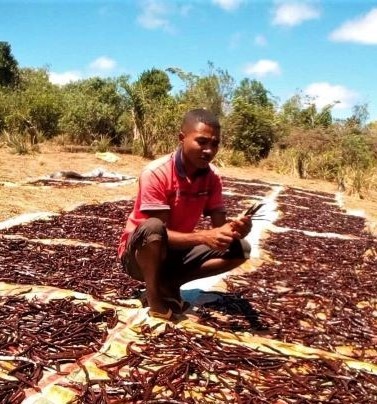 Producteur Todizafy p 1